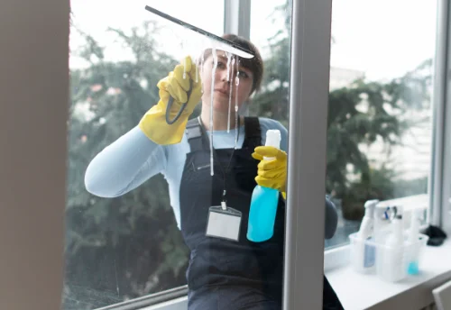 Nettoyage de vitres intérieures et extérieures au Plessis-Grammoire